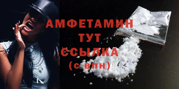 стаф Корсаков