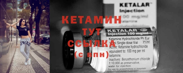 стаф Корсаков
