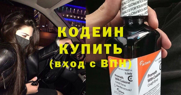 стаф Корсаков