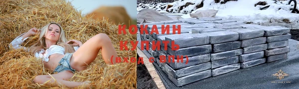 стаф Корсаков
