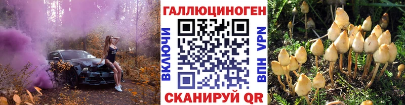 Галлюциногенные грибы GOLDEN TEACHER  Староминская 